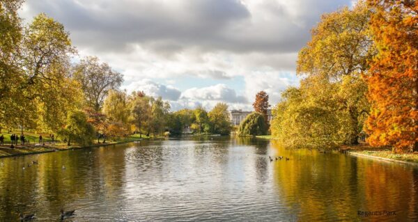 St John's Wood, London NW8